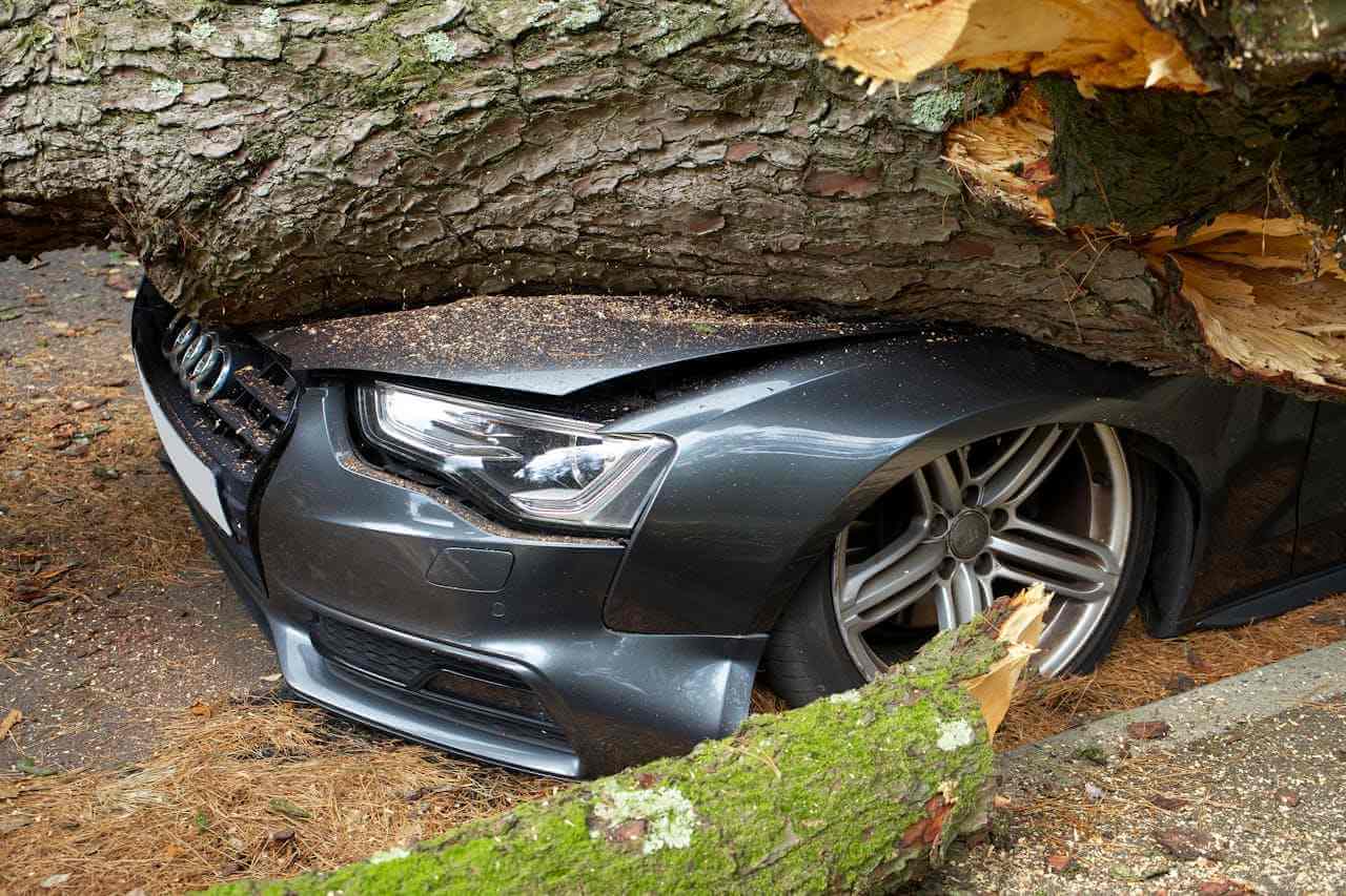 Stablo je palo na haubu i prednji deo automobila marke audi.